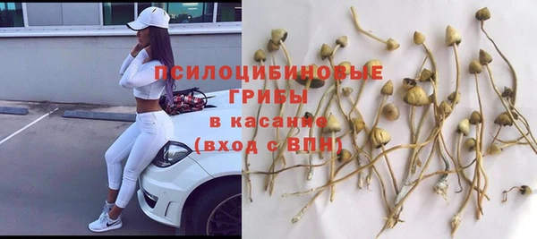 mdpv Балахна