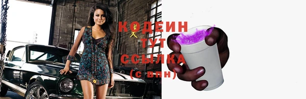 дмт Арсеньев