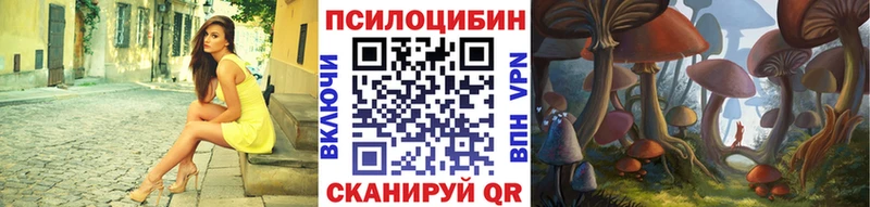 Псилоцибиновые грибы Cubensis Тобольск