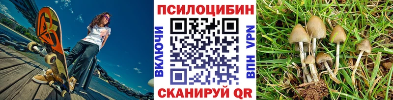 Псилоцибиновые грибы мицелий  это клад  Тобольск 